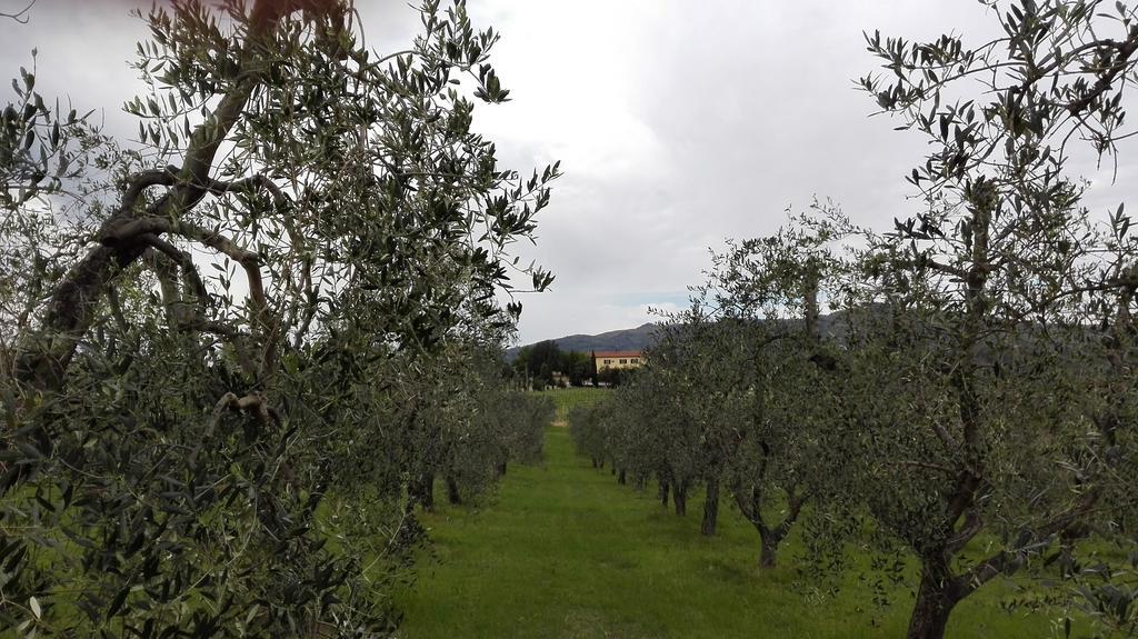 Agriturismo Luggiano Villa Vinci Exterior foto