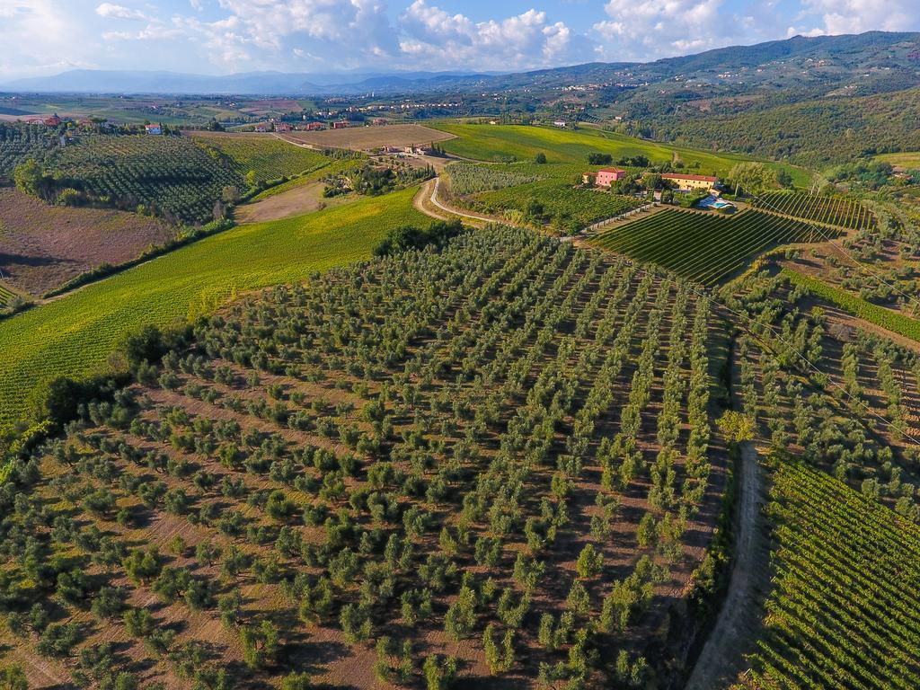 Agriturismo Luggiano Villa Vinci Exterior foto