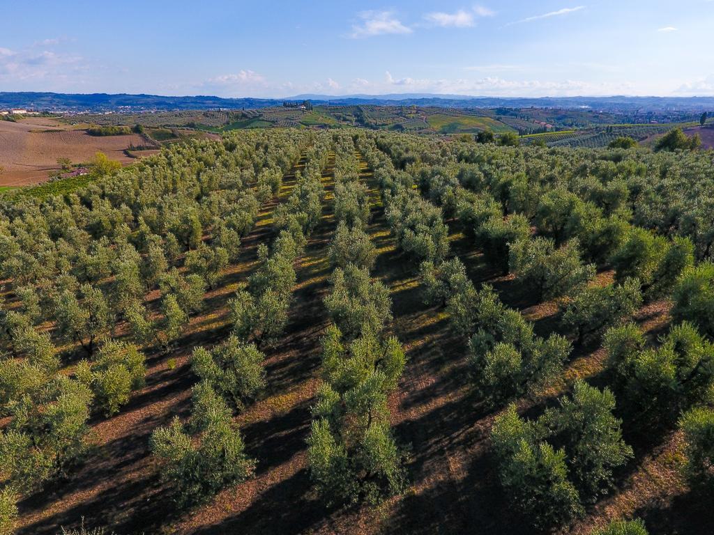 Agriturismo Luggiano Villa Vinci Exterior foto